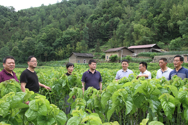 安康市商務(wù)局領(lǐng)導(dǎo)來我公司調(diào)研春蠶收購及扶貧點(diǎn)蠶?；亟ㄔO(shè)情況